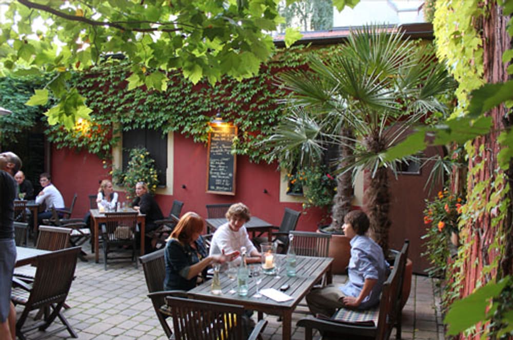 Begrünter Innenhof der Hufschmiede mit Tischen unter Weinlaub und Palmen